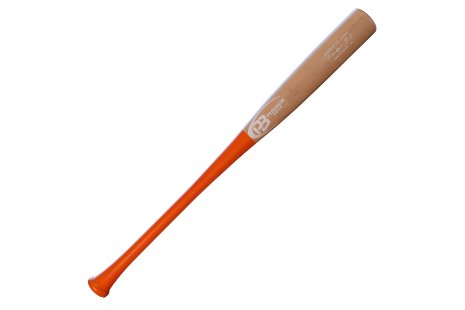 Model P110Y